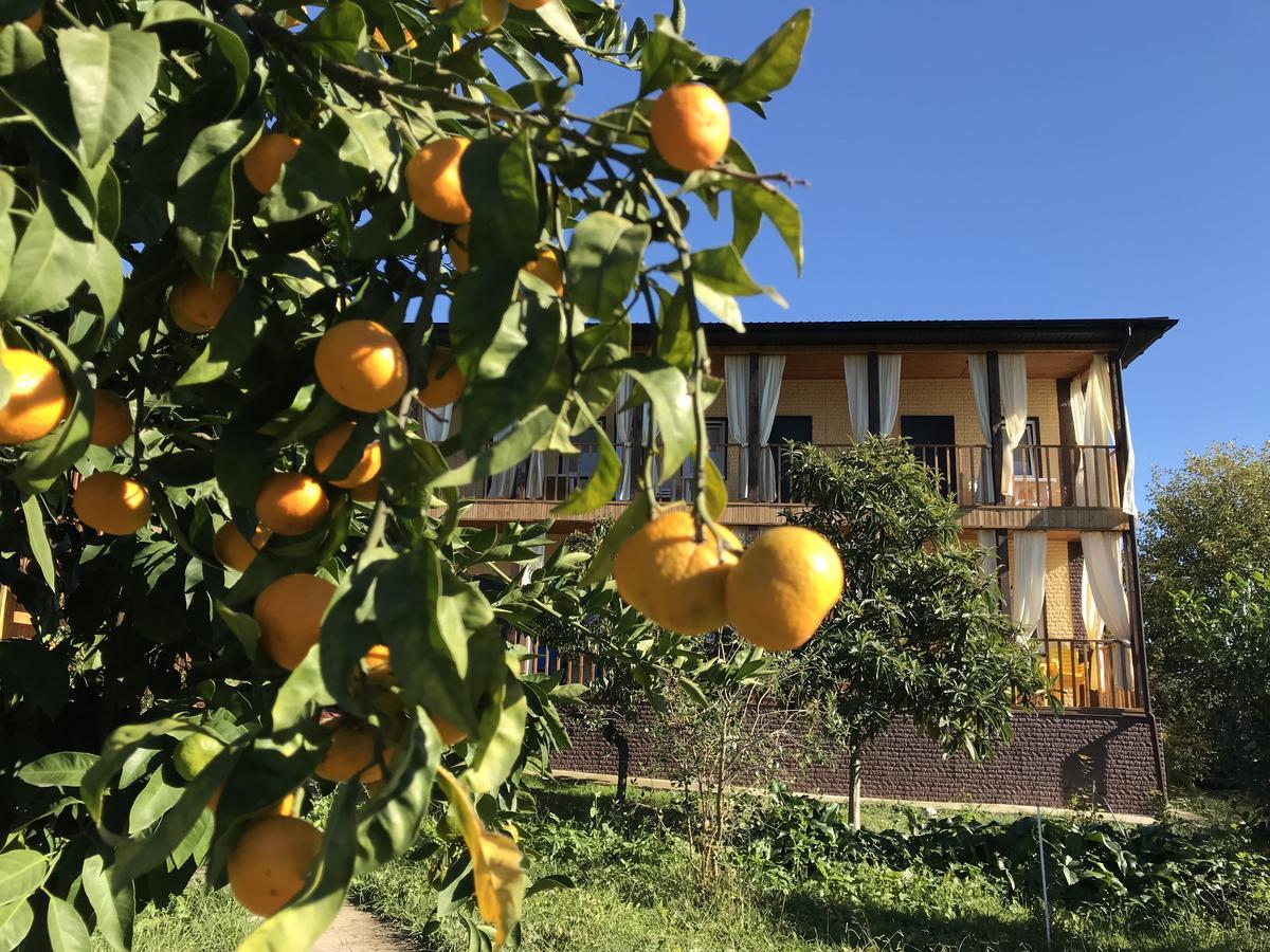 Gostievoi Dom Meri New Athos Exterior foto