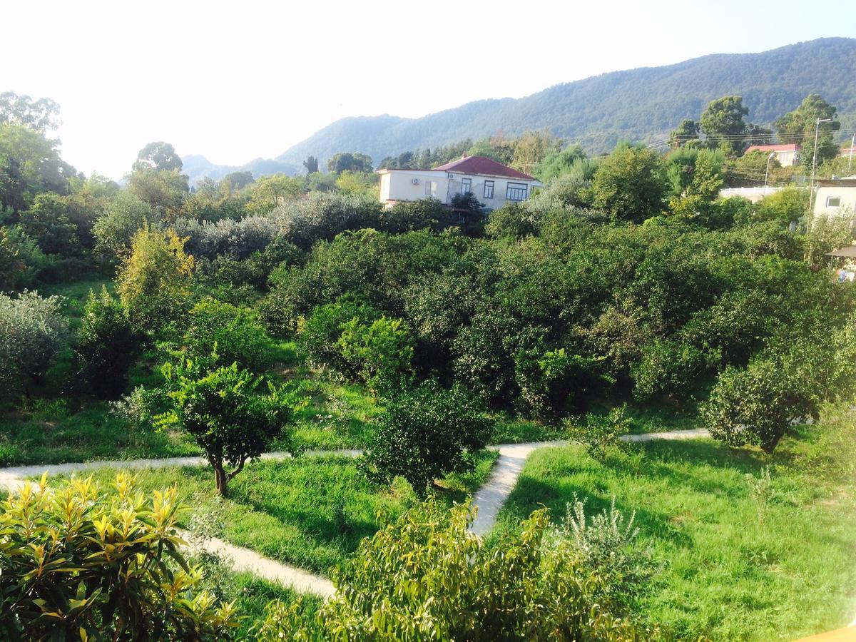 Gostievoi Dom Meri New Athos Exterior foto